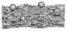 Microporous Membrane Filtration