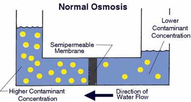 Explanation of Reverse Osmosis