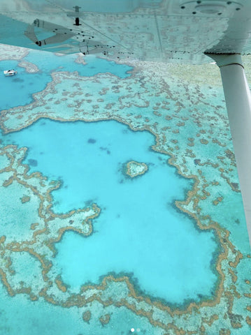 Whitsundays water + Coral