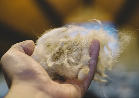 biodegradable wool