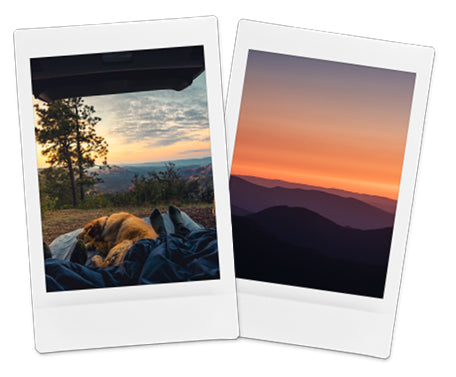 polaroid pictures of a dog sleeping in a van and a sunset over mountains