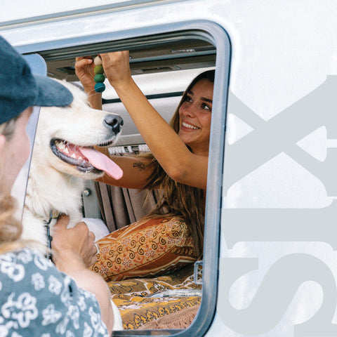 woman hanging up smelly balls inside van window while man pats dog
