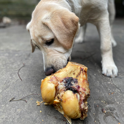 roast knuckle bones for dogs - natural dog treats