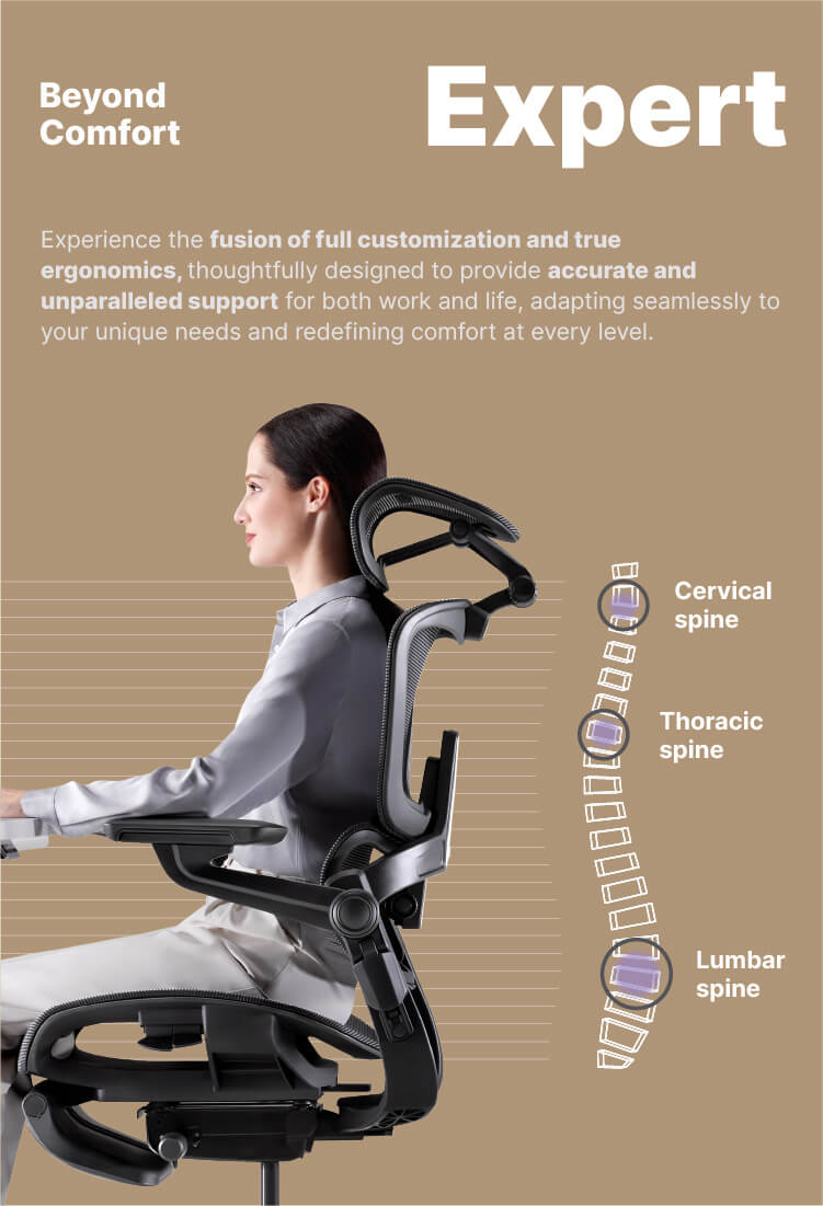 Hinomi Full Customization Ergonomic Chairs