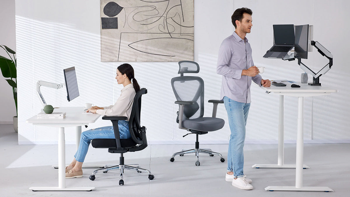 HINOMI Q1 Ergonomic Office Chair for Work Space