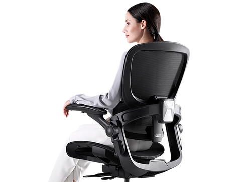 H1 Classic V3 Ergonomic Office Chair