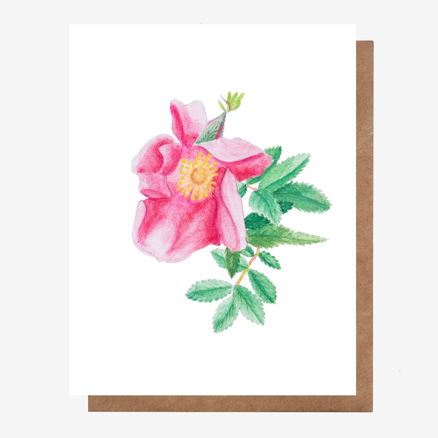 Hand drawn Wild Rose greeting card perfect for any occasion, made in Nova Scotia, Canada by Coastal Card Co.
