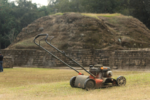Image shows a lawn mower on grass.