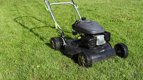 Image shows lawn mower on freshly cut grass.