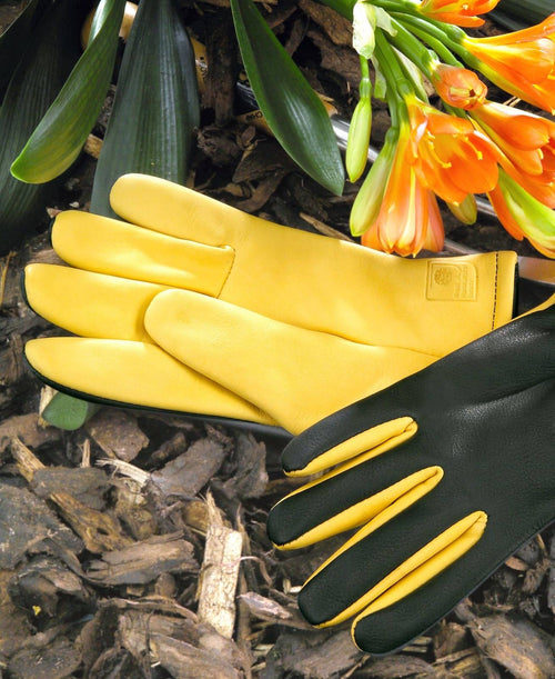 dry touch gloves