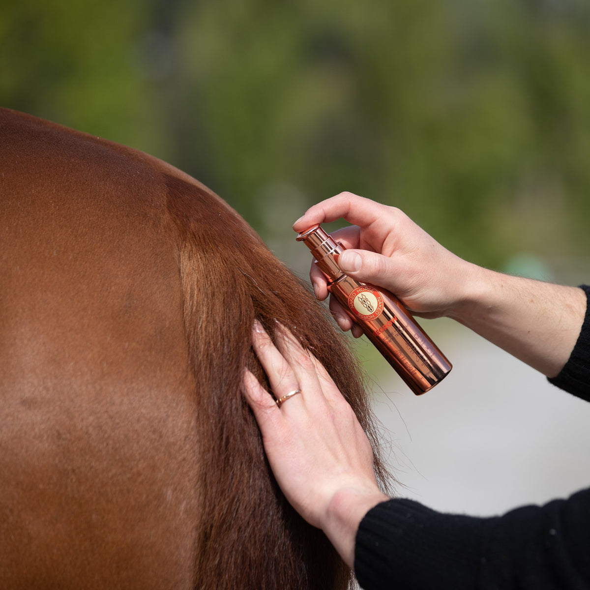 REGROW – EQUINE HAIR REGROWTH SERUM