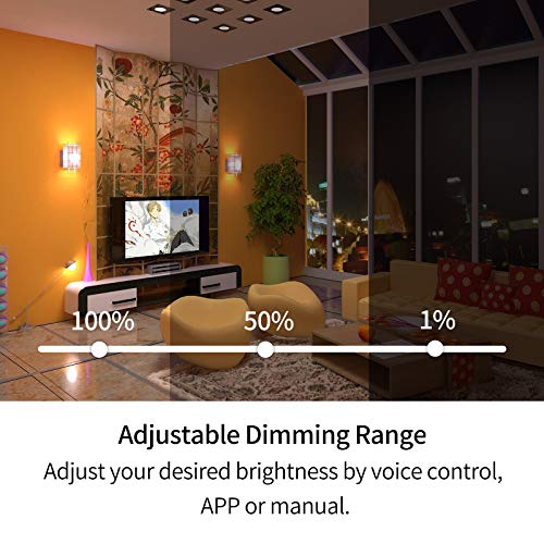 Dual-outlest Smart Dimmer Plug Outdoor Waterproof (US Version) –  AvatarControls