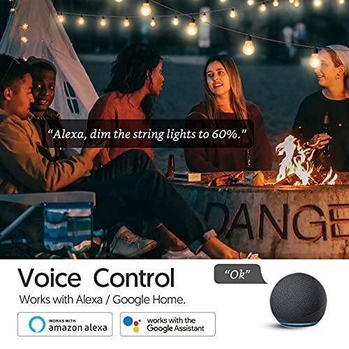 Smart Switch with Remote Control with Alexa/Google Home Light Smart Home Electrical Switch Avatar Controls AWS06F