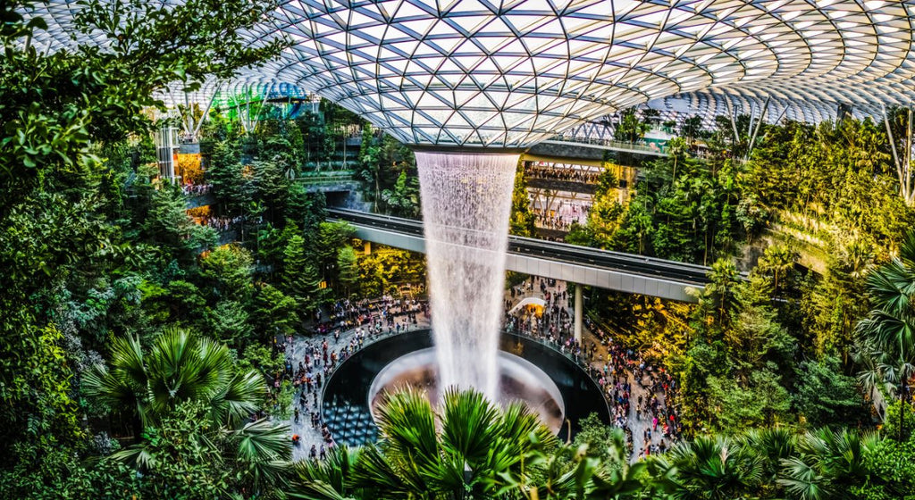 Singapore airport showing indoor waterfalls and varieties of indoor tropical forest