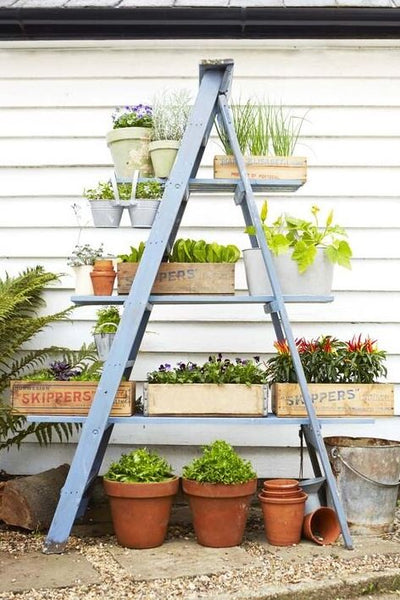 Planters with wood step type stand, potted plants on stand 