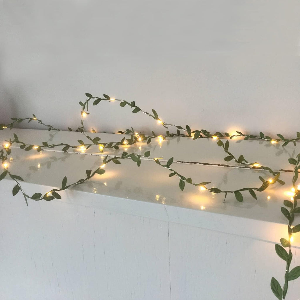 Fairy Lights with Vines