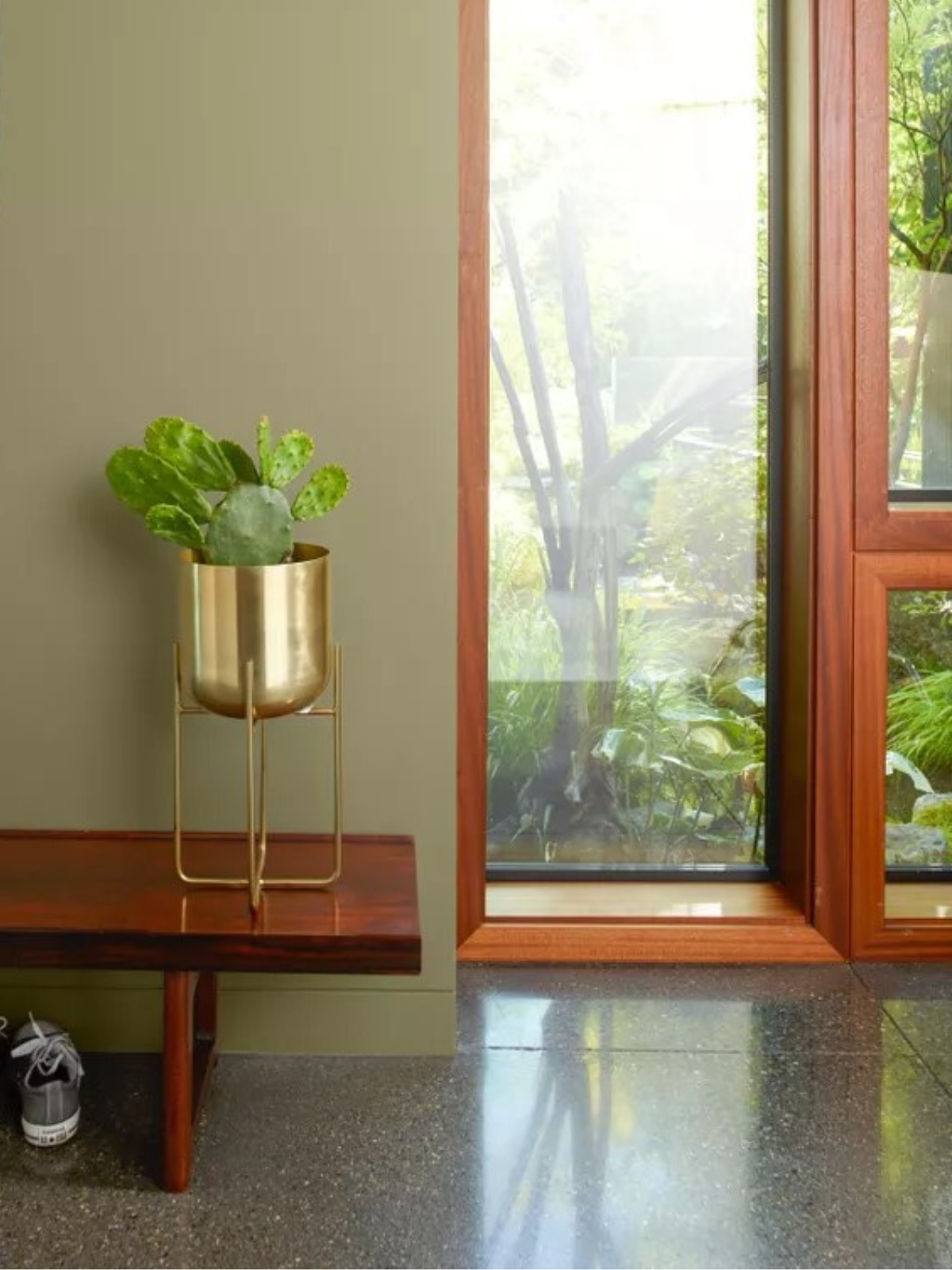 Hallway with green painted wall, wooden bench, and an indoor plant in metal planter