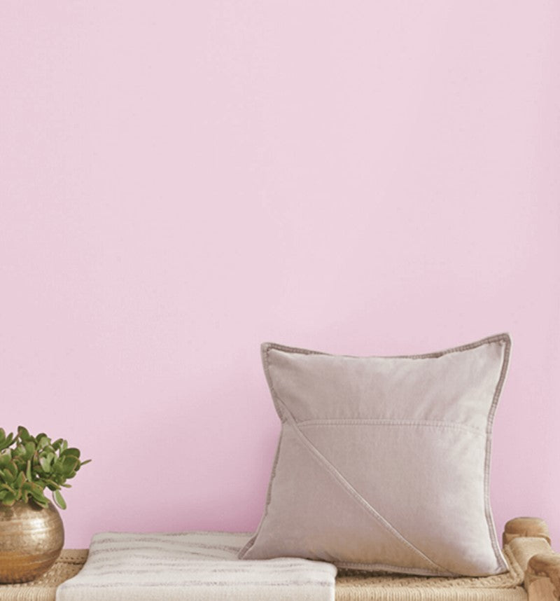 SW 6561 Teaberry by Sherwin Williams Paint Color