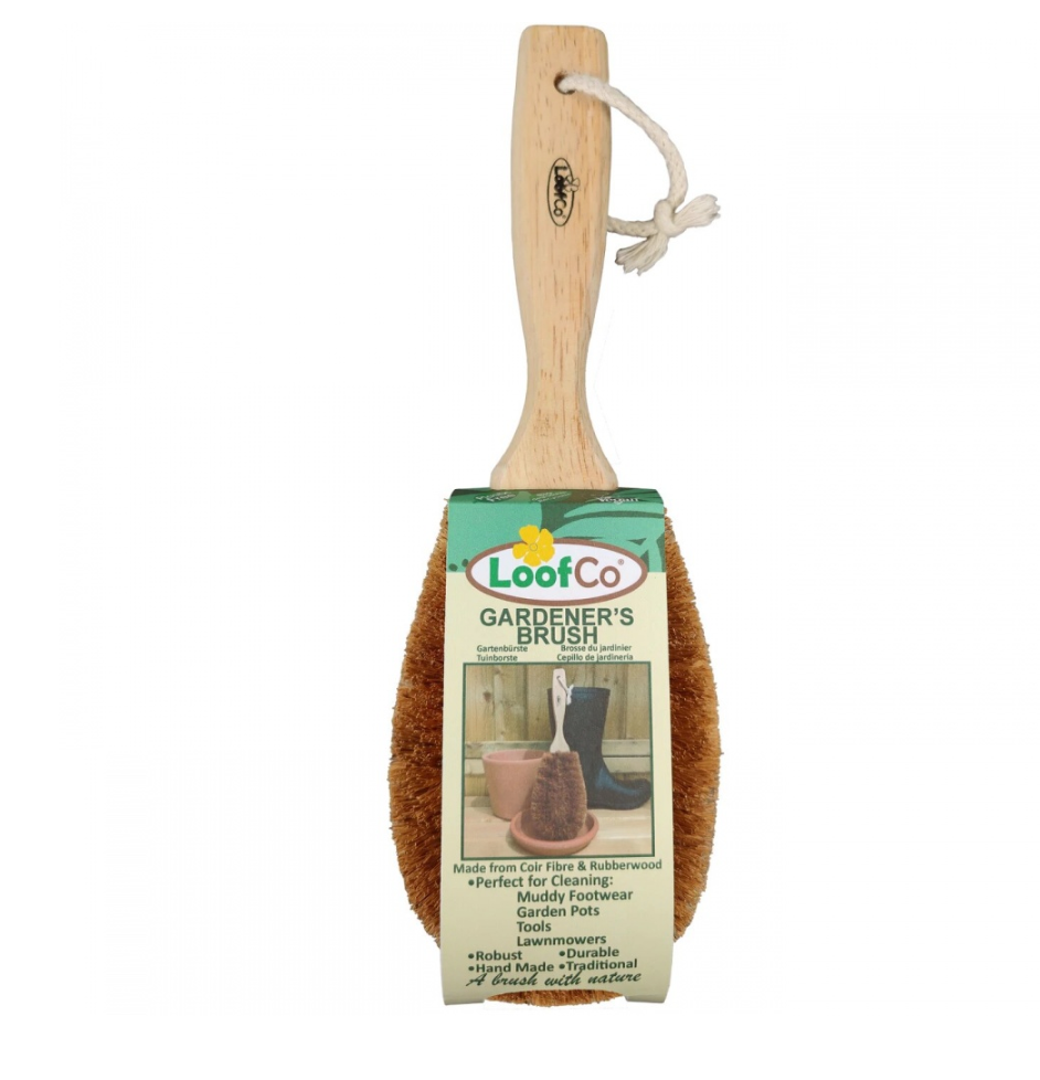 ecoLiving Vegetable Brush - Ecosplendo Online Shop International