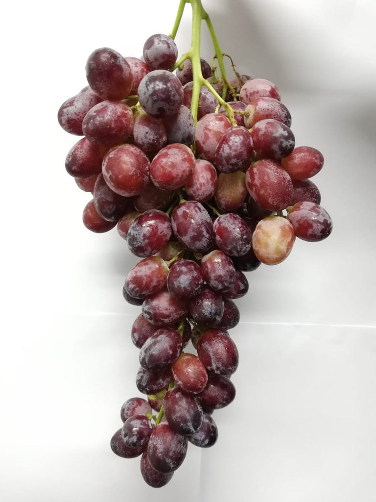 Grapes Scarlet (seedless) - /Kg - عنب قرمزي بدون بذور