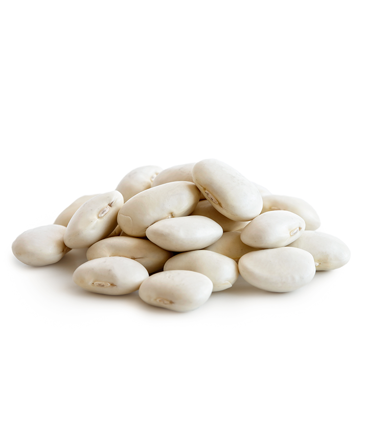 Wide White Beans - فاصوليا بيضاء عريضة – Fresh Sandouk