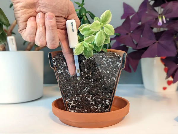 Finger compressing soil around Quench sensors