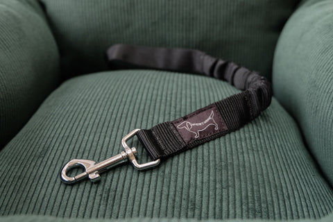 Dog safety leash to secure a dog in the car