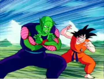 piccolo et son goku