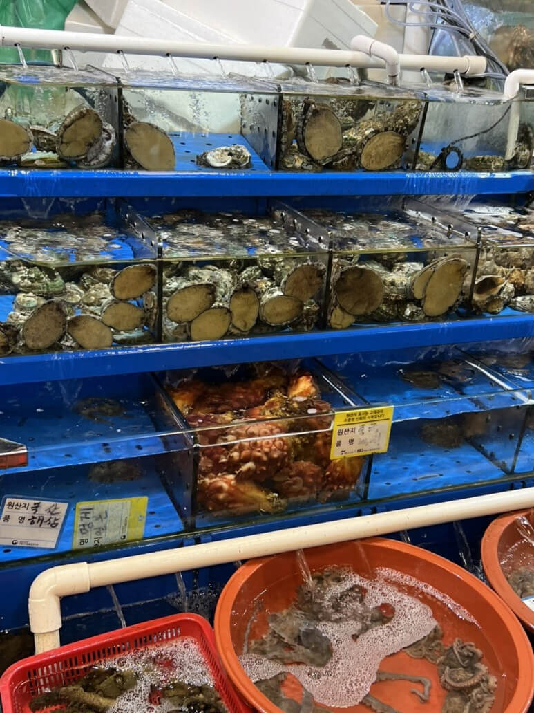 noryangjin fish market seoul