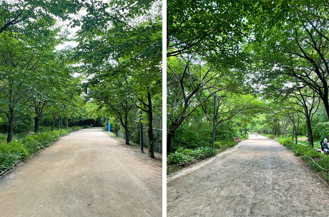 seoul forest park seongsu-dong