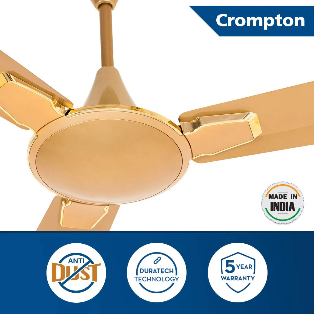 Crompton Aura 2 Prime 48" (Birken Gold ) C-210