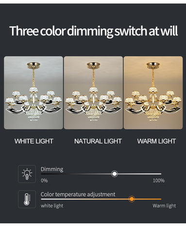 Qulik Decorative Luxury Crystal LED Chandelier 8 Lamp Lights (QL-9911-8+4)