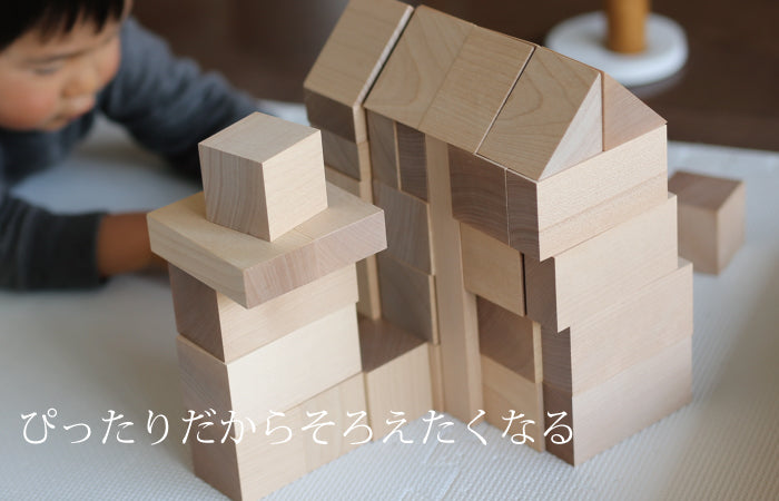 童具館】WAKU-BLOCK45 H6-