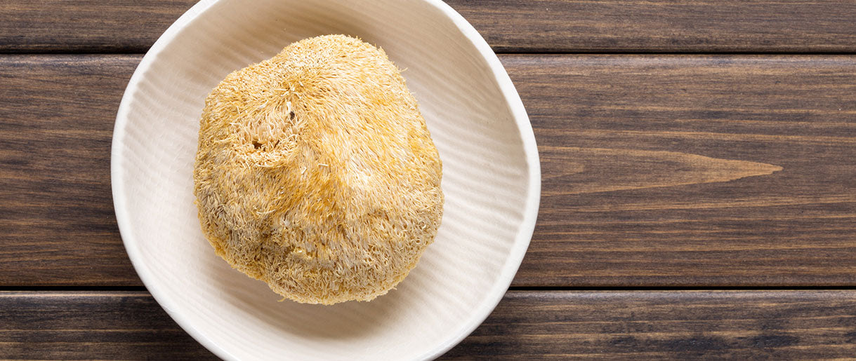 Lion's Mane (Hericium erinaceus)