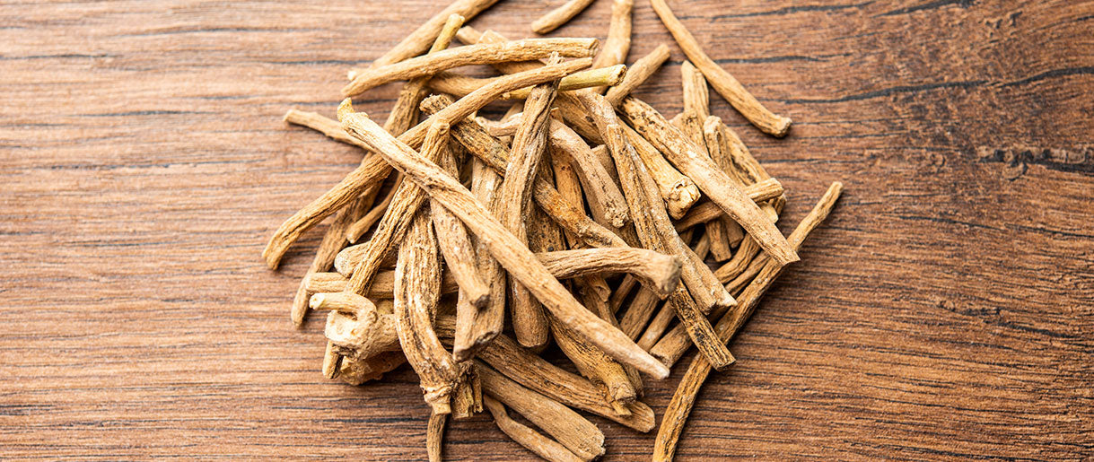 Ashwagandha: The Stress Reliever