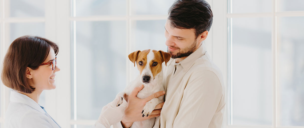 Behind the Science: Exploring Research on Chaga Mushroom Benefits for Dogs