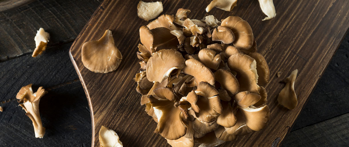 Benefits Of Taking Maitake Mushroom For Cancer