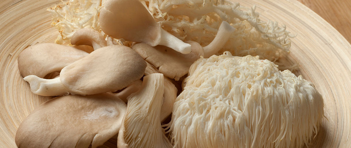 Beyond Allergy Relief: The Multifaceted Benefits of Mushrooms