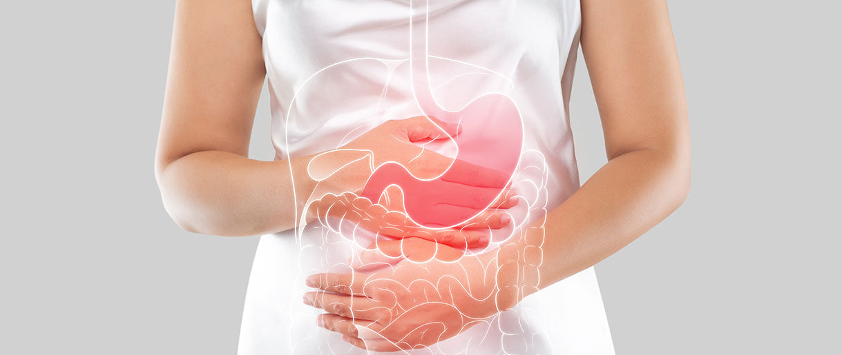 Beyond Defense: Beta Glucans for Gut Health and More