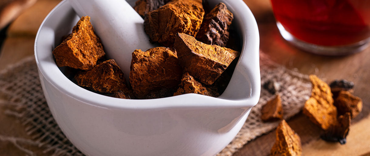 Chaga Mushroom: The Immunity-Boosting Superfood