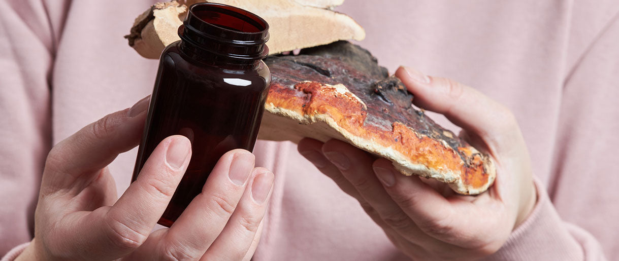 Complementing Not Replacing: The Role of Reishi Mushroom in Weight Loss Efforts
