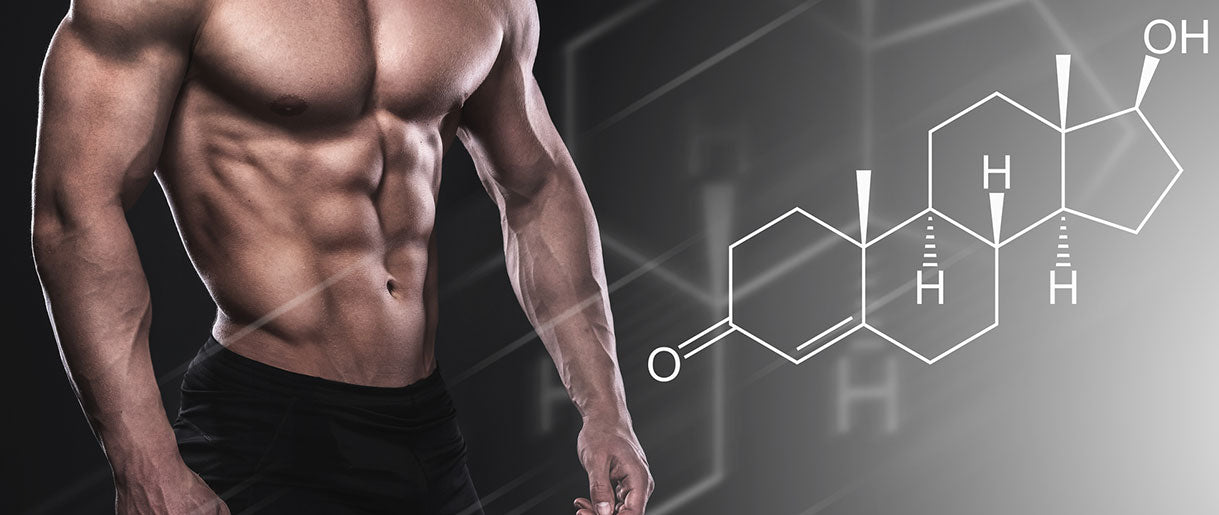 Decoding Testosterone: The Powerhouse of Male Physiology