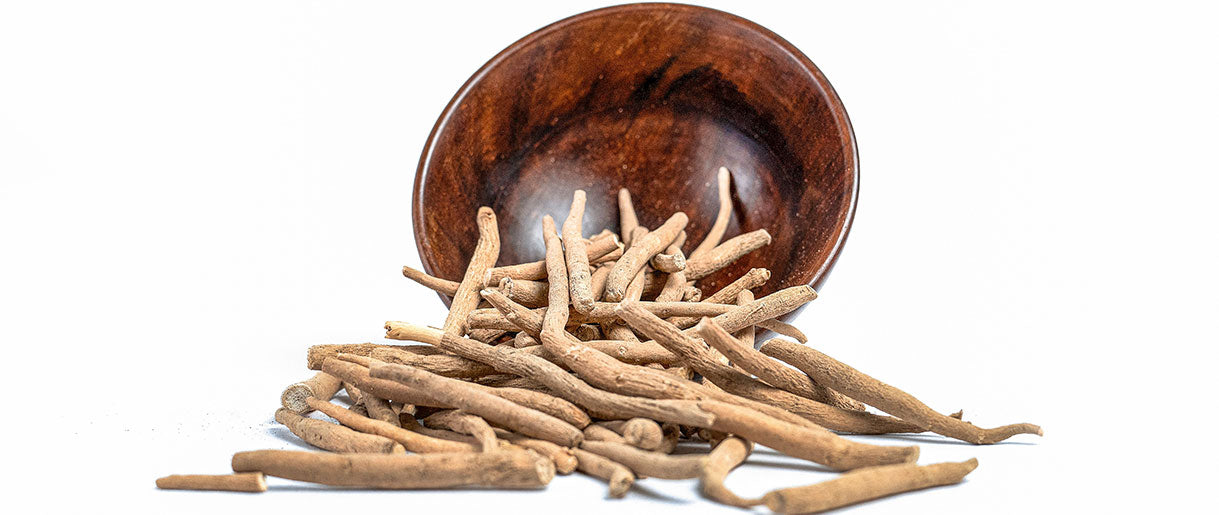 Factors Influencing Ashwagandha’s Effectiveness