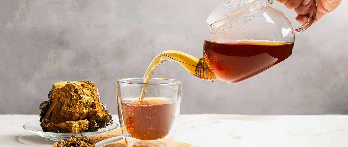 Health Benefits of Chaga Tea: Harnessing the Power of Medicinal Mushrooms