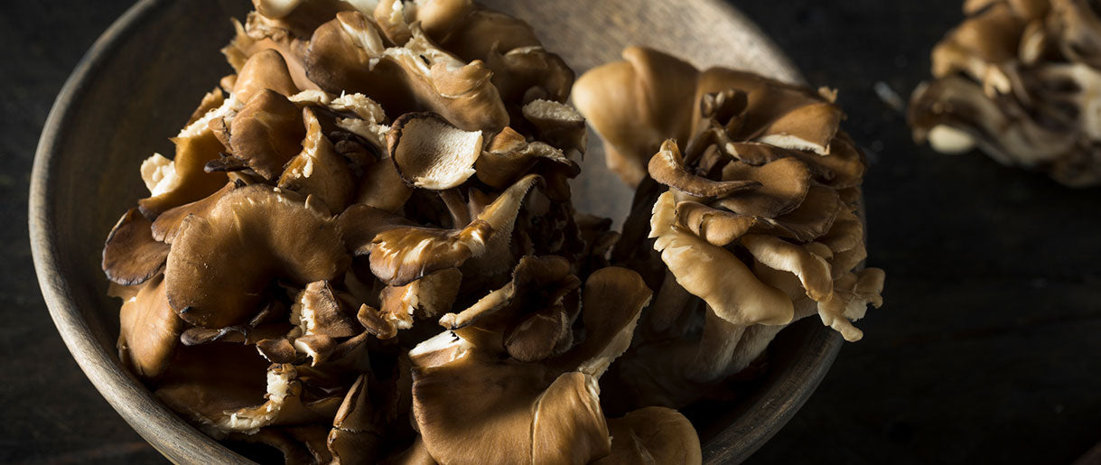 How the General Benefits of Maitake Help with Cancer Prevention and Treatment