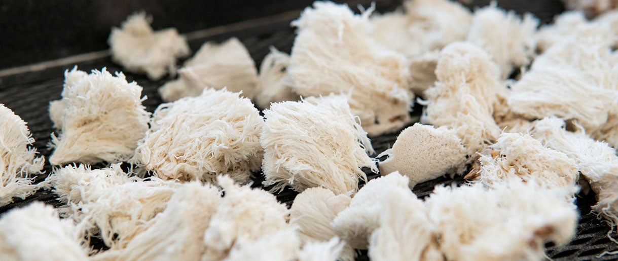 How to Take Lion's Mane Mushrooms Safely