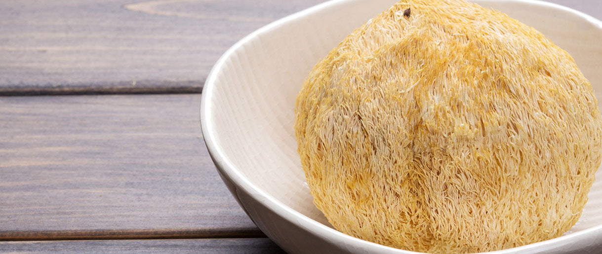 Lion's Mane Mushroom: A Natural Wonder