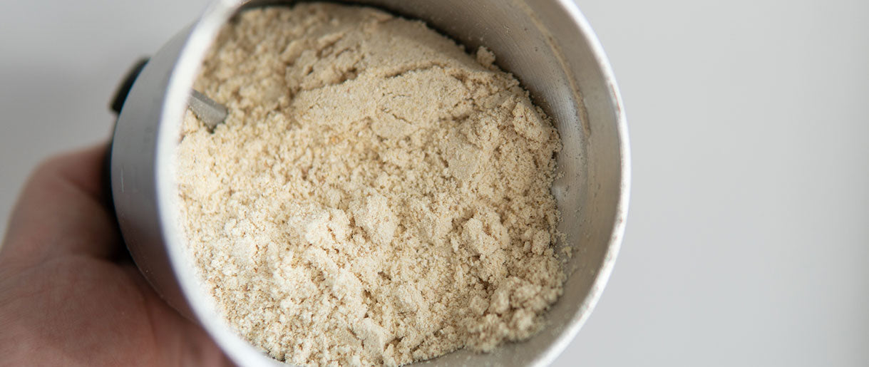 Lion’s Mane Mushroom Powder