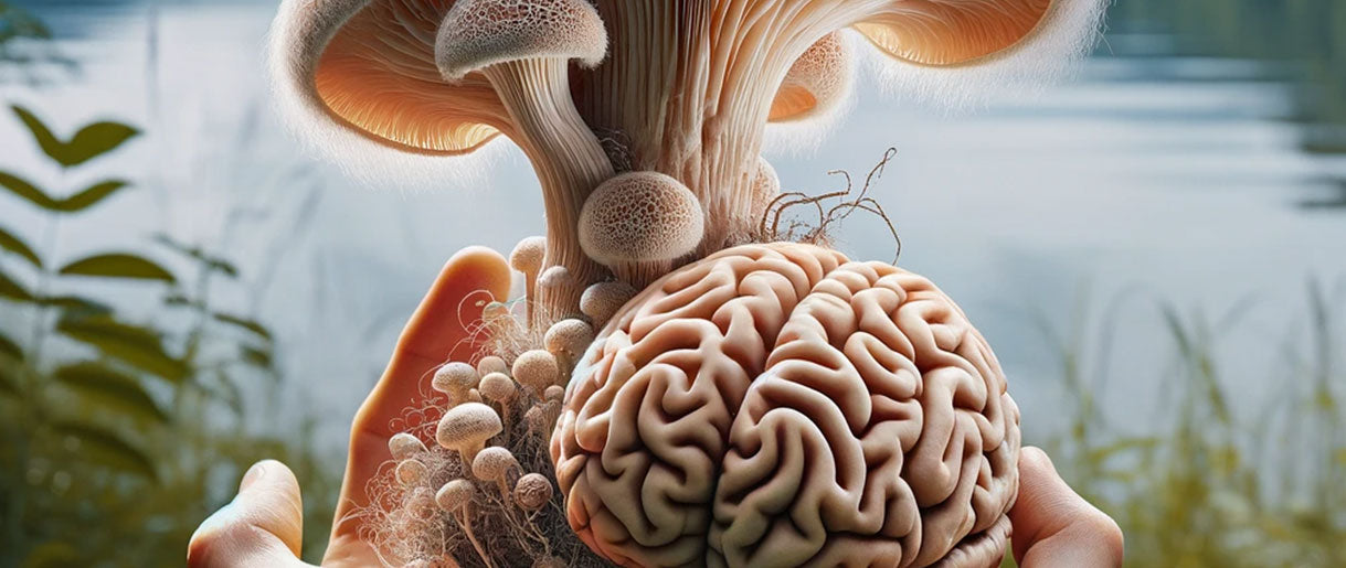 Lion's Mane Mushroom: The Brain's Best Friend