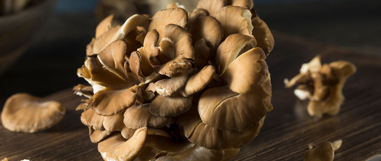 Maitake Mushrooms: Potential Histamine Reducers